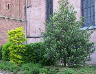 St. Hubertus - Geschtzter Platz fr Technikschrnke